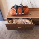 아름다운 여행 이미지