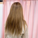 미녀미용실 이미지