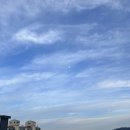 소동아이레 이미지