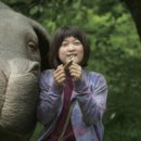 옥자농장 이미지