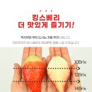 킹스베리 이미지