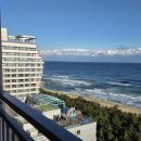 세인트존스호텔 인피니티풀 | 강릉 세인트존스 호텔 이용 후기 | EFL 패키지, 인피니티풀, 부대시설 정보 총정리