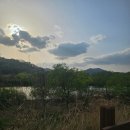 박말순(디벨로펀) 이미지