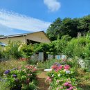 남해양옥 | 남해 카페 안화(2024.6.23.)