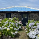 제주독채펜션돌담감성숙소밭담점 이미지