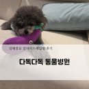 김해장유 다독다독 동물병원! 내돈내산 진료 및 스케일링 2차 후기