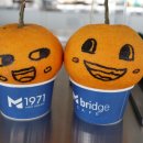 돼지이용원