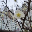 고향축산물불고기 이미지