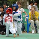 태권돌이 이미지