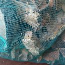 만물백화점 이미지