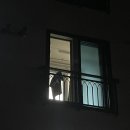 병구포차 이미지