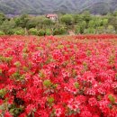 옥정호로 이미지