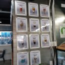세인트커피