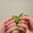 분당 수내역 네일 체리쉬뷰티:) 핑크 글리터 겨울 네일아트 디자인 후기