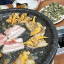 삼성갈미조개 이미지
