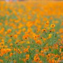 수원농장 이미지