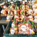 엔비(Envy) | 아삭함의 끝판왕! 이마트 에브리데이에서 만난 고당도 '엔비(Envy) 사과' 솔직 후기