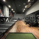 빈체로 피트니스 이미지