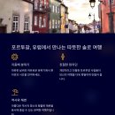 트래블 수 이미지