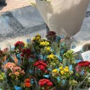 세븐일레븐대구프라자점 이미지