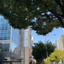 멍텅구리 | 선정릉역 맛집 멍텅구리 꼼장어 막창 후기