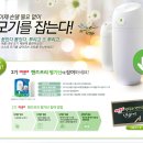 오토칼라 이미지