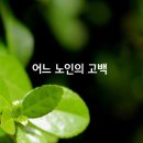 어느 노인의 고백 / 이해인 이미지