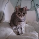 경원체육관 | 2024년 3월 첫째 주 일상 - 김해 정은이네 쌀떡볶이 / 빕스 부산w스퀘어