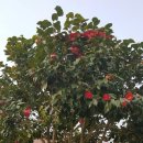 신북중학교 이미지