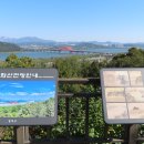 개화산 숲길 가을 산책 이미지