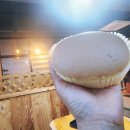 김종철 카스테라 카페