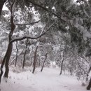 분당야탑3-A-6 이미지