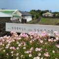 별똥별채집소