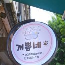 개뽐네 이미지
