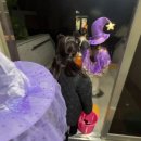 기안중학교 | 여름 빠이