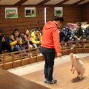 송촌목장 이미지