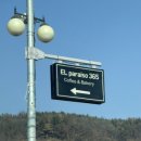 ELparaiso365(엘파라이소365) | 청도 엘파라이소365 애견동반 대구 근교 대형 카페 브런치 맛집 내돈내산 추천