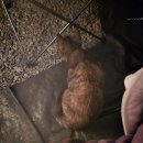 풍차캠핑장 | [대구군위캠핑] 수묵화가 펼쳐지는 아침 운무 당첨, '바람이좋은저녁' 명당 3번 솔캠 후기