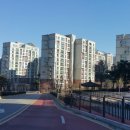 강남 더샵 시니어하우스 네이버블로그