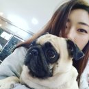 연지동물병원 이미지