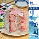 판교 백현동 횟집 대진항막회 대방어회 맛집이지만 실망스러워