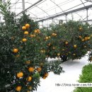 현승농장 이미지