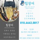 힘장어 이미지