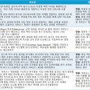 홀론