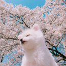 트렌드핏 김해점 이미지