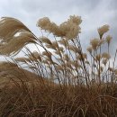 (주)샛별관광 이미지