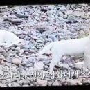 펜션굿타임