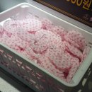 제스트코인노래연습장 이미지