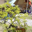 안면도글램핑 이미지