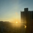 순둥이한끼 | 2026년 1월 일기 : 새해부터 만나서 반가운 이들